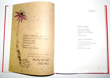 Бумажная книга «Поетична червона книга України / Poetics of Endangered Species Ukraine» - фото №10 - миниатюра