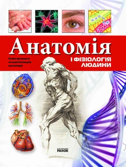 Паперова книга «Анатомія та фізіологія людини», автор Яна Батій - фото №2 - мініатюра
