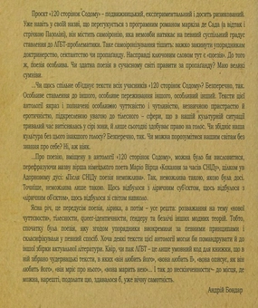 Паперова книга «Сучасна світова лесбі/ґей/бі література. 120 сторінок содому» - фото №3 - мініатюра