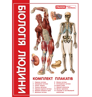 Бумажная книга «Комплект плакатів "Біологія людини" 9 клас» - фото №2 - миниатюра