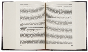Бумажная книга «Кров-свята», автор Владимир Шовкошитный - фото №7 - миниатюра