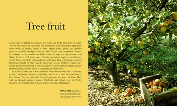 Паперова книга «Grow Fruit», автор Алан Букінгем - фото №2 - мініатюра