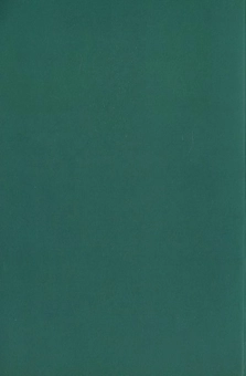 Паперова книга «Український гуманітарний огляд. Випуск 18» - фото №3 - мініатюра