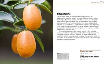 Паперова книга «Grow Fruit», автор Алан Букінгем - фото №5 - мініатюра