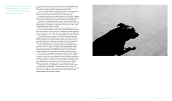 Бумажная книга «Really Good Dog Photography» - фото №5 - миниатюра