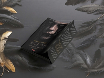 Бумажная книга «Ворон. Спеціальне видання + унікальна кінообкладинка», автор Джеймс О'Барр - фото №4 - миниатюра