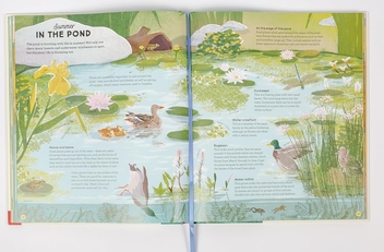 Бумажная книга «A Story of the Seasons», автор Анна Уилсон - фото №5 - миниатюра