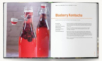 Паперова книга «Mastering Fermentation», автор Кіт Сарасін - фото №5 - мініатюра