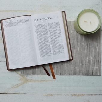 Бумажная книга «NRSV Catholic Edition Gift Bible», автор Католическое библейское издательство - фото №5 - миниатюра