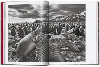 Бумажная книга «Sebastião Salgado. Genesis. 45th Ed.» - фото №4 - миниатюра