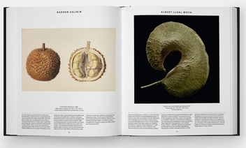 Бумажная книга «Plant: Exploring the Botanical World», автор Редакторы "Phaidon" - фото №4 - миниатюра