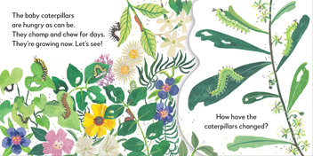 Паперова книга «Pop-Up Peekaboo! Butterfly» - фото №5 - мініатюра
