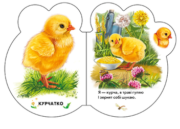 Бумажная книга «На подвір'ї», автор Ирина Солнышко - фото №4 - миниатюра