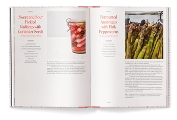 Бумажная книга «God Is a Pickle. Recipes and Stories for Preserving the Seasons», автор Шарка Отевржел Цамрдова - фото №5 - миниатюра