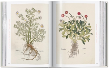 Paper book «Leonhart Fuchs: The New Herbal», author Werner Dressendörfer - фото №4 - миниатюра