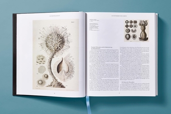 Paper book «The Art and Science of Ernst Haeckel», author Julia Voss - фото №6 - миниатюра