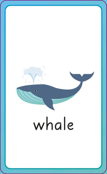 Бумажная книга «English for Everyone Junior: First Words Animals Flash Cards» - фото №13 - миниатюра