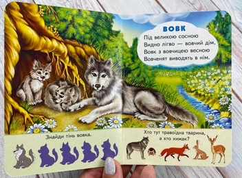 Бумажная книга «Хто де живе. Цікаве для найменших» - фото №3 - миниатюра