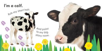 Паперова книга «Really Feely Farm» - фото №3 - мініатюра