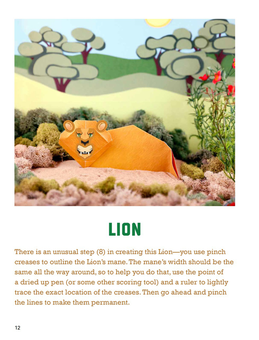 Паперова книга «Origami Zoo Kit», автор Джоел Стерн - фото №4 - мініатюра