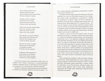 Бумажная книга «Залізна корона. Книга 1. Спадок поколінь», автор Александр Мироненко - фото №5 - миниатюра