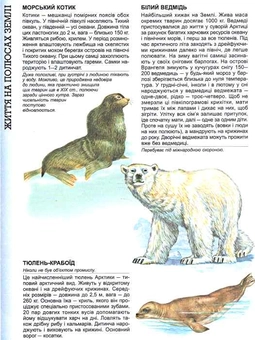 Паперова книга «Енциклопедія тварин. Дика природа. Гепард», автор О. Шаповалова - фото №3 - мініатюра