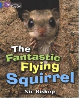 Бумажная книга «Big Cat  4 The Fantastic Flying Squirrel», автор Ник Бишоп - фото №2 - миниатюра