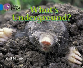 Бумажная книга «Big Cat  4 Whats Underground?», автор Гилл Мунтон - фото №2 - миниатюра