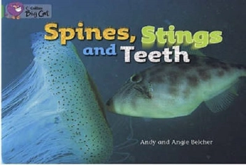 Бумажная книга «Big Cat 5 Spines, Stings and Teeth», авторов Энди Белкер, Клифф Мун - фото №2 - миниатюра