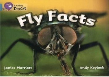 Бумажная книга «Big Cat 7 Fly Facts», авторов Джанис Мариотт, Энди Кейлок, Клифф Мун - фото №2 - миниатюра