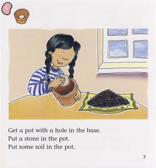 Бумажная книга «Big Cat Phonics 4 How to Grow a Beanstalk», автор Дженис Вэйл - фото №4 - миниатюра