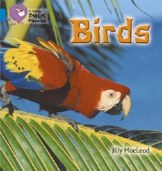 Бумажная книга «Big Cat Phonics 4 Birds», автор Джилли Маклеод - фото №1 - миниатюра
