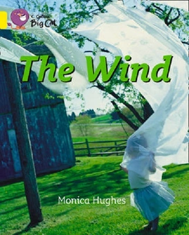 Паперова книга «Big Cat  3 The Wind. Workbook» - фото №2 - мініатюра