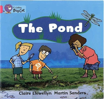 Паперова книга «Big Cat  1B The Pond. Workbook» - фото №1 - мініатюра