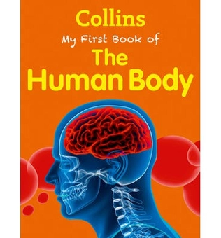 Бумажная книга «My First book of the Human Body» - фото №2 - миниатюра