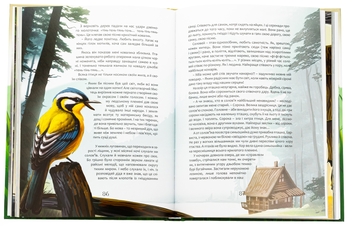 Бумажная книга «Пастух цвіркунів», автор Мирослав Дочинец - фото №6 - миниатюра