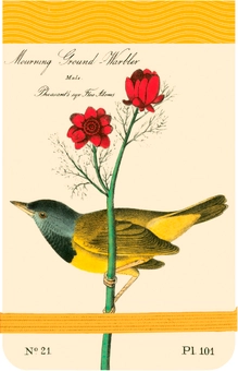 Бумажная книга «Mini Journal: Audubon Warblers», автор Джон Джеймс - фото №1 - миниатюра