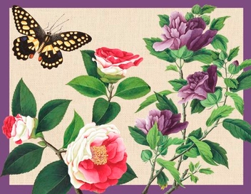 Бумажная книга «Winterthur Butterflies Desk Set» - фото №2 - миниатюра