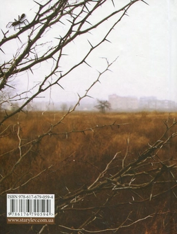 Паперова книга «Ab Out», автор Юрій Іздрик - фото №3 - мініатюра