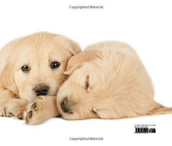 Бумажная книга «Puppyhood. Life-size Portraits of Puppies at 6 Weeks Old», автор Дж. Николь Смит - фото №2 - миниатюра