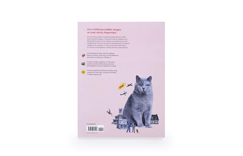 Бумажная книга «Extraordinary Things to Cut Out and Collage», автор Мария Риванс - фото №2 - миниатюра