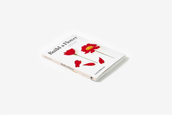 Бумажная книга «Build a Flower. A Beginner's Guide to Paper Flowers», автор Люсия Бальказар - фото №2 - миниатюра
