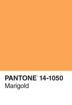 Паперова книга «Pantone 50 Postcards» - фото №4 - мініатюра