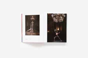 Бумажная книга «Dance Vision. Dance Through the Eyes of Today's Artists», автор Джошуа Тил - фото №4 - миниатюра