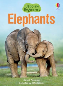 Паперова книга «Elephants», автор Джеймс Маклейн - фото №1 - мініатюра