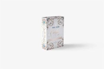Бумажная книга «Paris in Bloom Notecards», автор Джорджанна Лейн - фото №4 - миниатюра