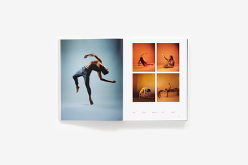Бумажная книга «Dance Vision. Dance Through the Eyes of Today's Artists», автор Джошуа Тил - фото №7 - миниатюра