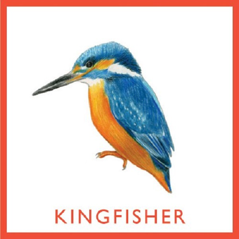 Паперова книга «Bird Bingo» - фото №5 - мініатюра