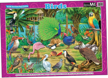 Паперова книга «Fun With Puzzles. Birds» - фото №1 - мініатюра