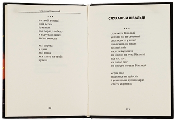 Бумажная книга «Фронтальне скло», автор Станислав Новицкий - фото №5 - миниатюра